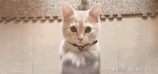 的林志玲终为自己的行为买了单世上没有后悔药非要嫁给日本人(图13)